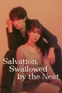 Salvation, Swallowed by the Nest